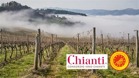 Vino Il Consorzio Chianti A Praga E Stoccolma Fondazione Qualivita