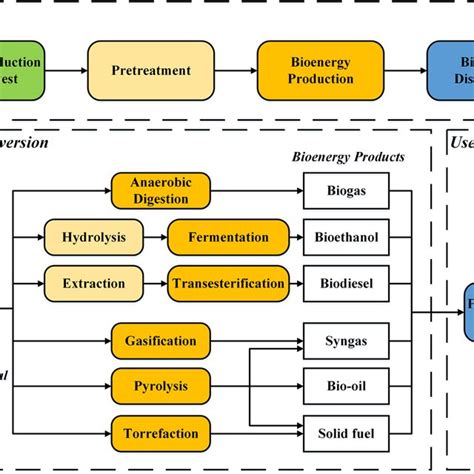 Major Components And Conversion Pathways Of Bioenergy Systems