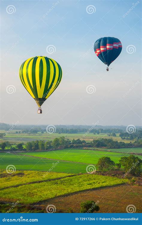 Hot Air Balloons Over Green Rice Field Stock Photo Image Of Lawn