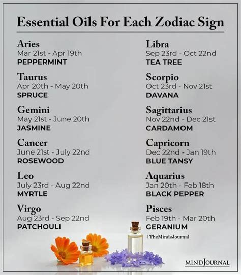 What Is The Zodiac 3 Reasons I Love It And How To Use Essential Oils With It Artofit