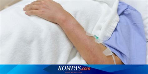 Ciri Ciri Bintik Dbd Demam Berdarah Yang Perlu Diketahui Kompas