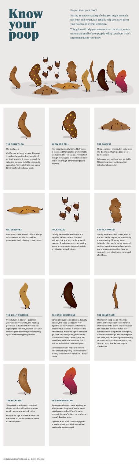 Poop Lists And Poop Charts