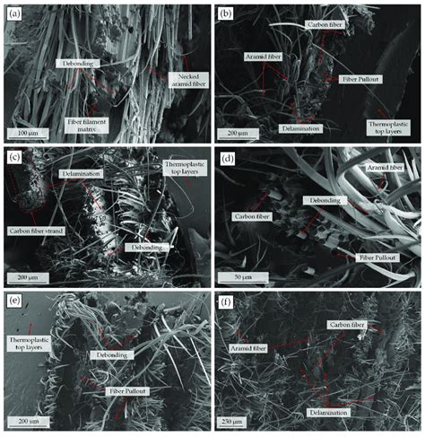 Sem Images Of The Fracture Surfaces Of Specimens With Relative