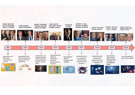 Línea Del Tiempo De Biología Molecular Apuntes De Biología Molecular