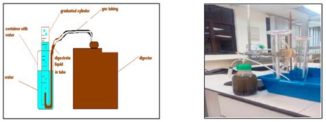 Processes Free Full Text Production Of Biogas From Food Waste Using