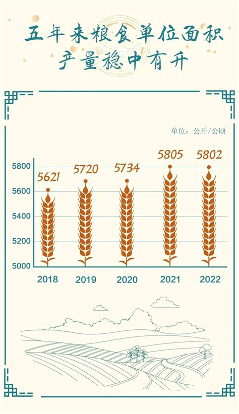 丰收来之不易，一图读懂2022年全国粮食产量