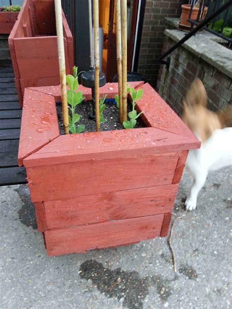 Pallet Planter Pallets