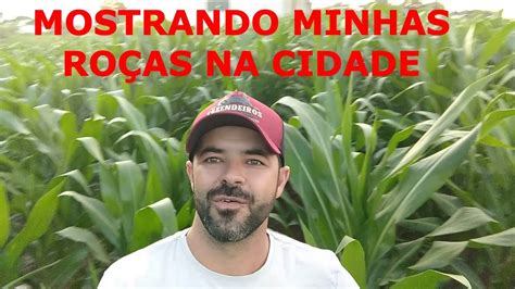 Minhas Ro As Na Cidade Plantadas O Agrale Youtube