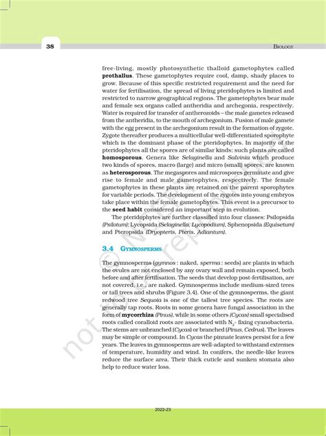 Ncert Book For Class 11 Biology Chapter 3 Plant Kingdom