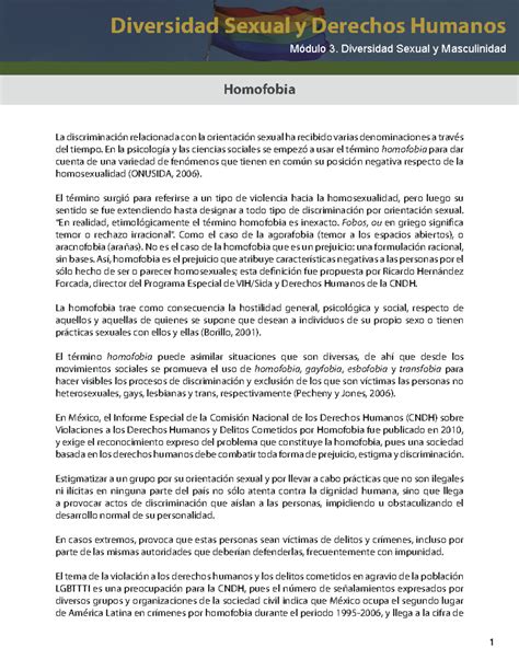 Homofobia M3 050618 Examenes Diversidad Sexual Y Derechos Humanos Módulo 3 Diversidad