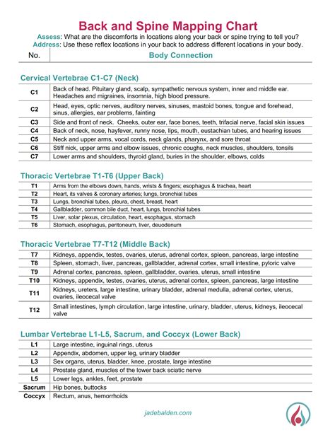 Back and Spine Mapping Diagram and Chart 02-Chart | Jade Balden