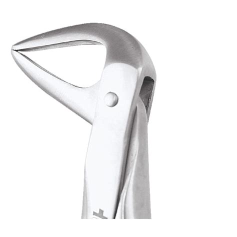 Buy Ergonomic Extraction Forcep Lower Roots Fx74ne Gdc Online