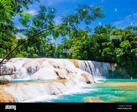 Agua Azul waterfalls in the lush rainforest of Chiapas, Mexico Stock ...