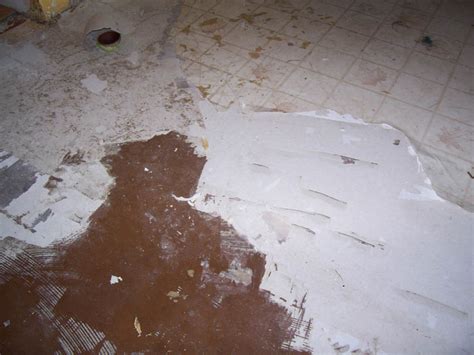 How To Put Vinyl Tiles On Concrete Floor Clsa Flooring Guide