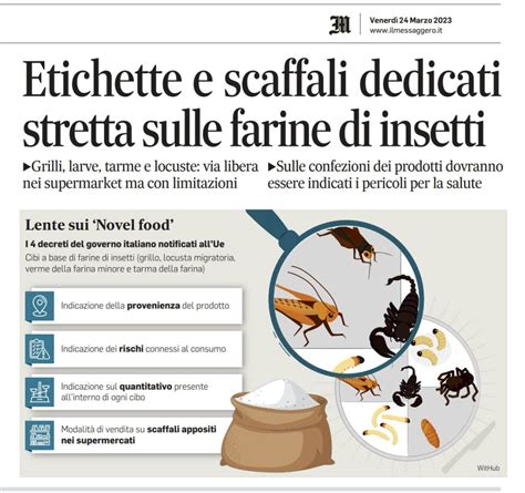 Etichette E Scaffali Dedicatistretta Sulle Farine Di Insetti Sito