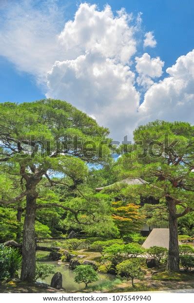 Zen Garden Japanese Garden Window View Stock Photo 1075549940