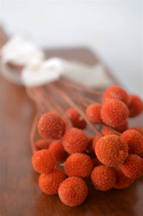 Bunch Of Orange Craspedia Billy Balls Billy Buttons Yellow Dried