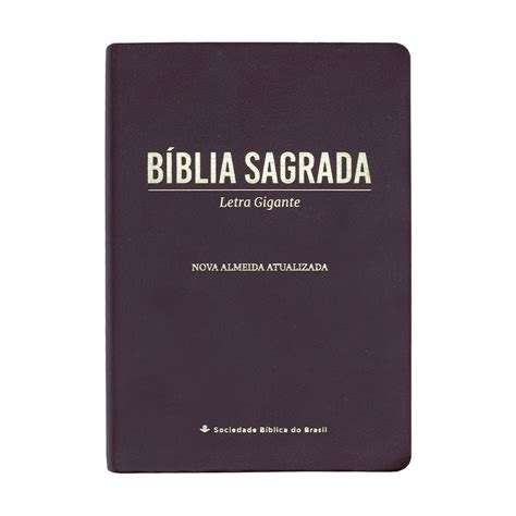 Biblia Sagrada Verdadeira Identidade Naa Capa Pu Letra Normal Colorida