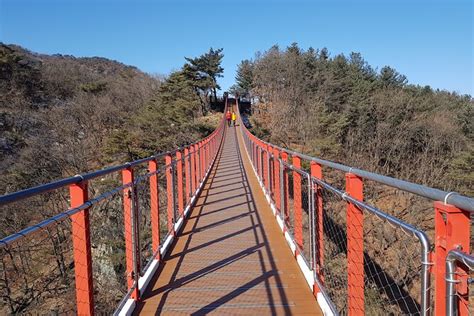 2025 プレミアム プライベート Dmz ツアー And 吊り橋または N タワー には昼食が含まれます、提供元：outdoors