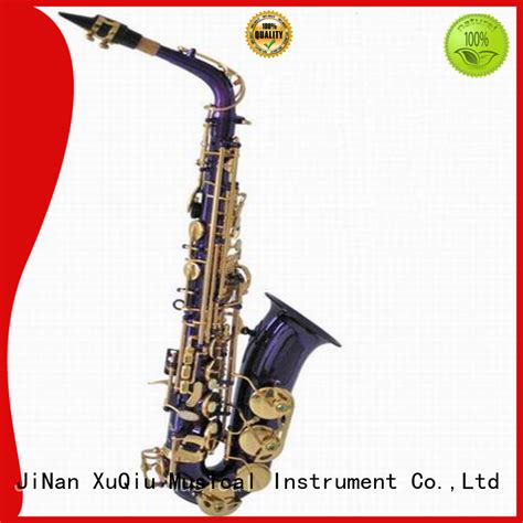 professional straight alto saxophone brands for beginner | XuQiu