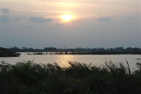 Pantanos De Centla Biosphere Reserve Mexicos Wetland Haven Lac Geo