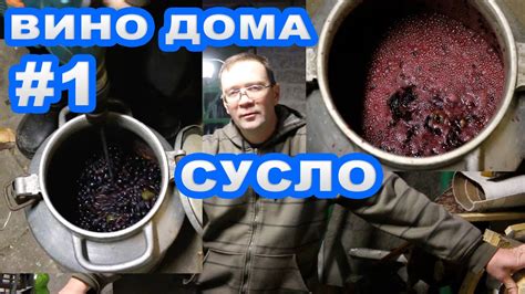 Домашнее вино весь цикл. СУСЛО - YouTube