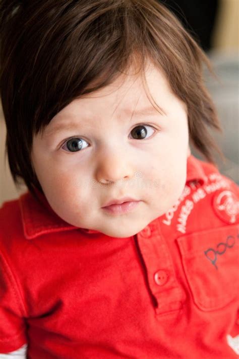 Chubby Brunette Stock Photos Free Royalty Free Stock Photos