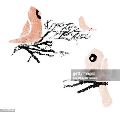 Red Cardinal Bird Vector Photos and Premium High Res Pictures - Getty Images