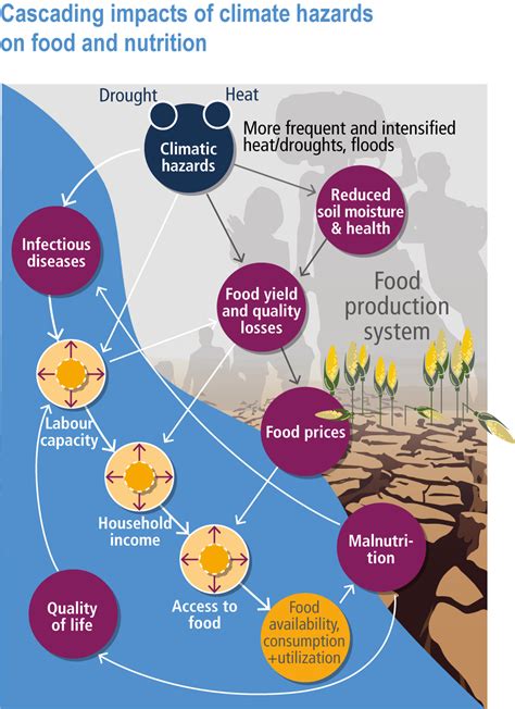 Figure Ar Wg Climate Change Impacts Adaptation And Vulnerability