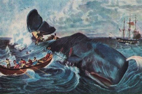 Moby Dick Y La Verdad Sobre La Historia Que Inspir La Aclamada Novela