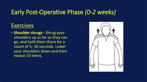 Shoulder Ac Joint Reconstruction Post Operative Rehabilitation