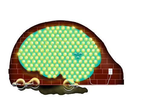 Light It Up Optogenetics