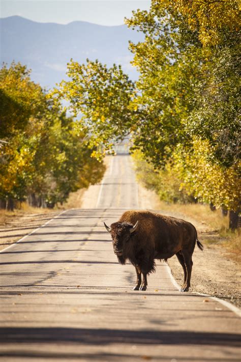 America S Great Outdoors Photo