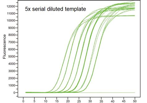 Super Green Sybr Green Qpcr Mix Sybr Green