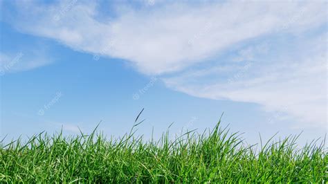 Premium Photo Green Grass And Blue Sky With White Clouds At Summer