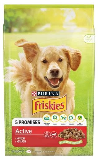 PURINA FRISKIES Vitafit Active Wołowina Karma dla psów dorosłych 10kg