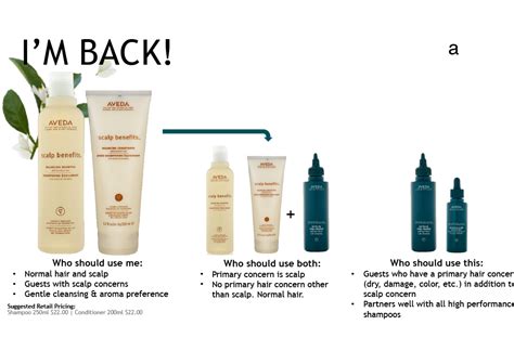 Aveda Scalp Benefits Product Lemongrass Salon And Spa Encinitas