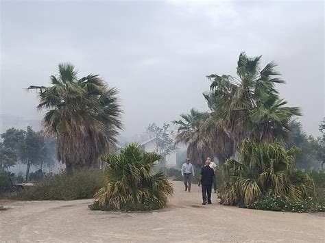 Incendi E Paura A Palermo Fiamme Anche Al Parco Cassar Nube Di Fumo