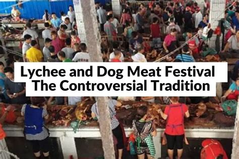 Lychee And Dog Meat Festival The Controversial Tradition