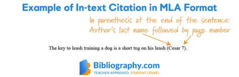 Creating Mla In Text Citations