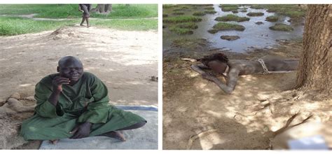 Country's lone psychiatrist sets sights on mental health reform in war