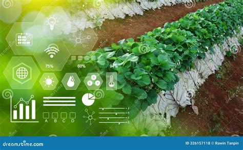 Infographics Smart Farming And Precision Agriculture With Visual Icon