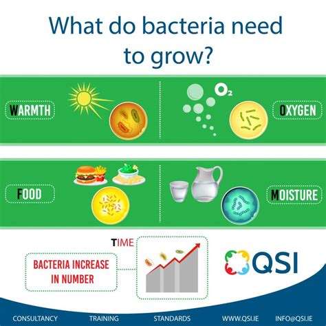 Food Safety Infographics Qsi