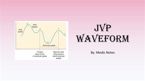 Jvp Waveform A Wave C Wave X Descent V Wave Y Descent Youtube