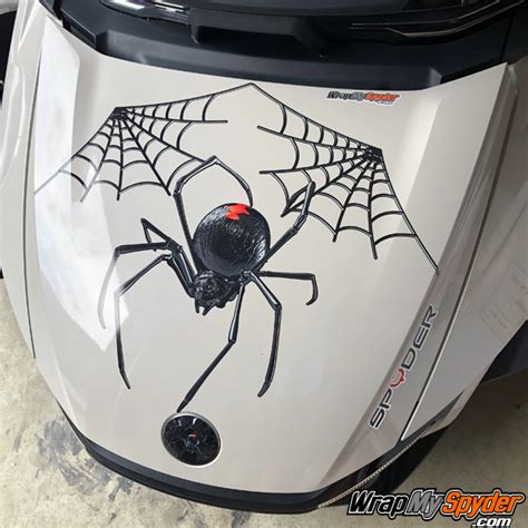 Decals And Stickers Graphics Decals Black Widow Spider ~ Vinyl Graphic Car Decal Sticker ~ 4