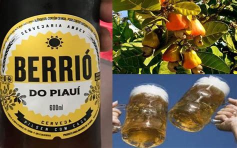 Ambev lança Berrió cerveja feita a partir do caju em homenagem ao Piauí