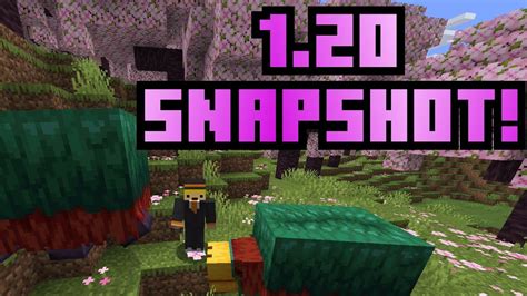 Snapshot 23w07a For Minecraft 1 20 New Cherry Biome Sniffer And