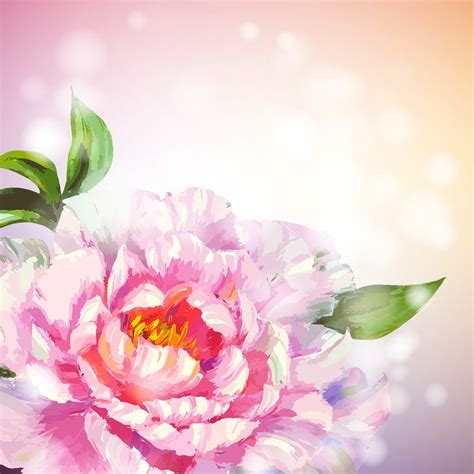 Vector Flowers Flowers Pink Background