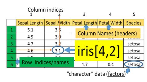 Chapter 1 Step Into R Programmingthe Iris Flower Dataset Learn R