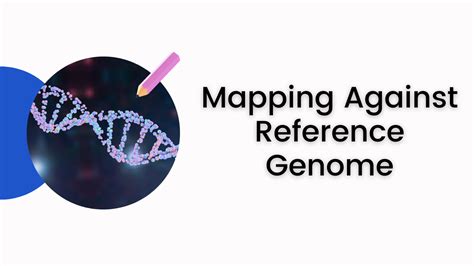 Rna Seq With Galaxy Biocode